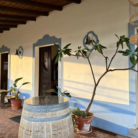Villa Aproveite O Sabor Do Alentejo Vila Verde de Ficalho Esterno foto