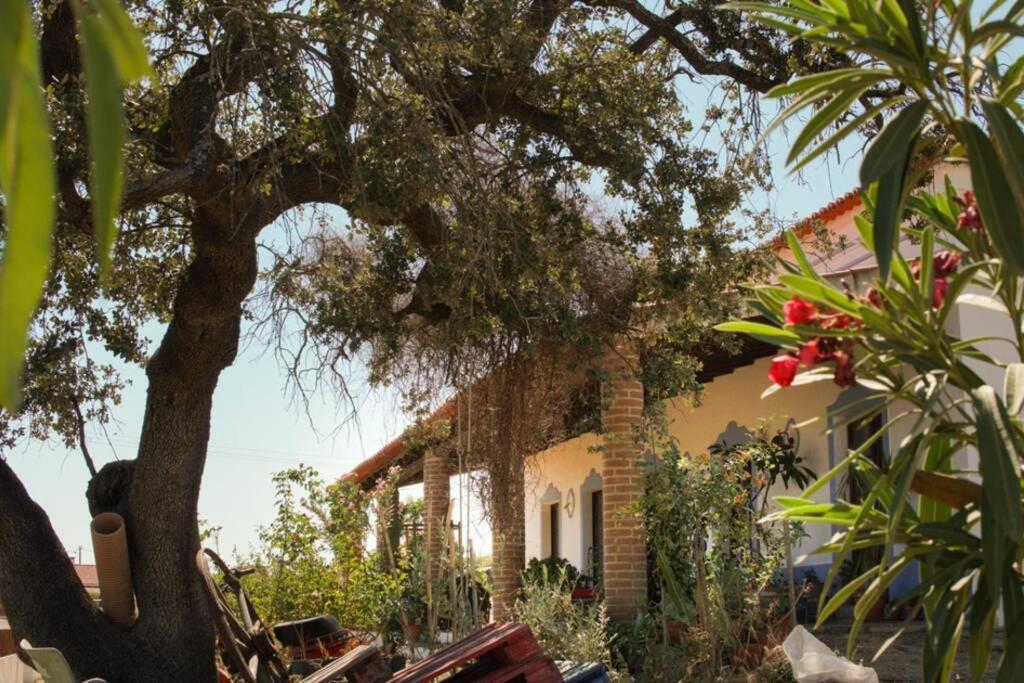 Villa Aproveite O Sabor Do Alentejo Vila Verde de Ficalho Esterno foto