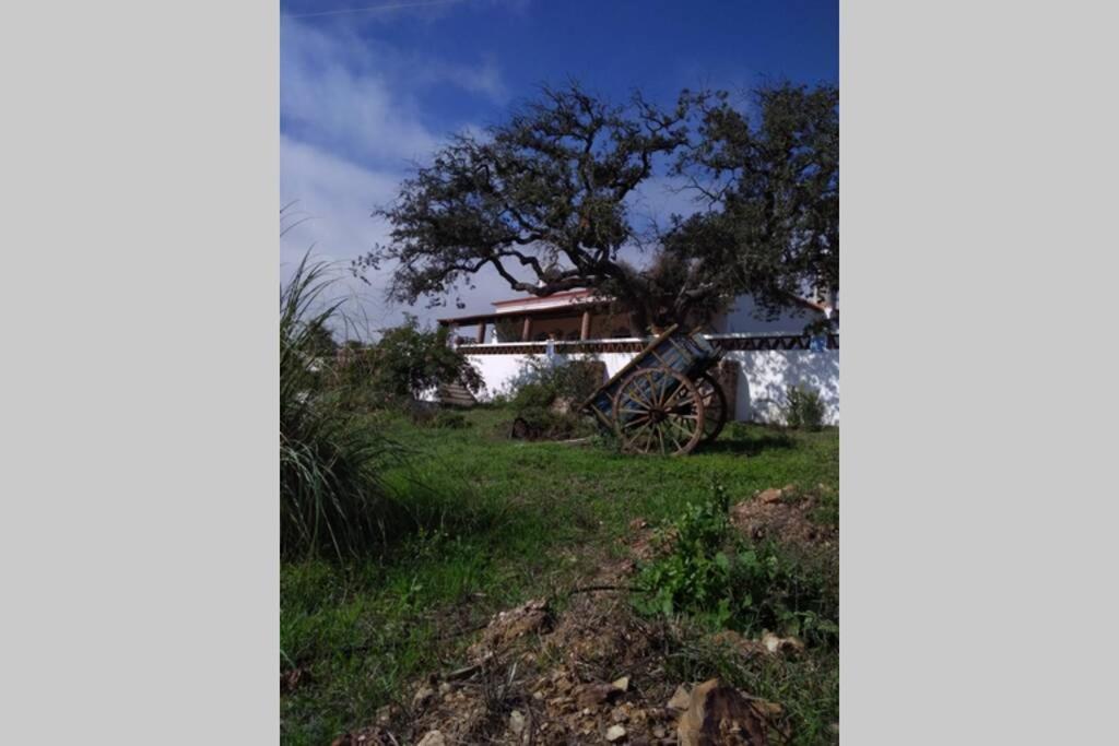 Villa Aproveite O Sabor Do Alentejo Vila Verde de Ficalho Esterno foto