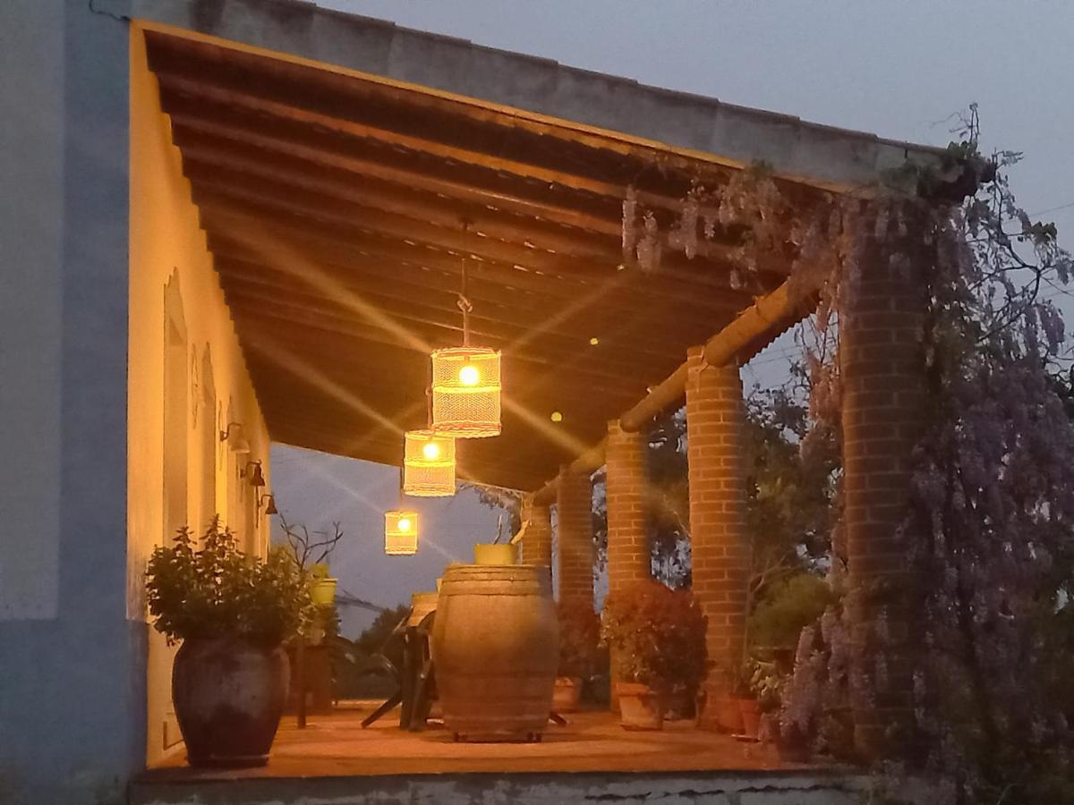 Villa Aproveite O Sabor Do Alentejo Vila Verde de Ficalho Esterno foto