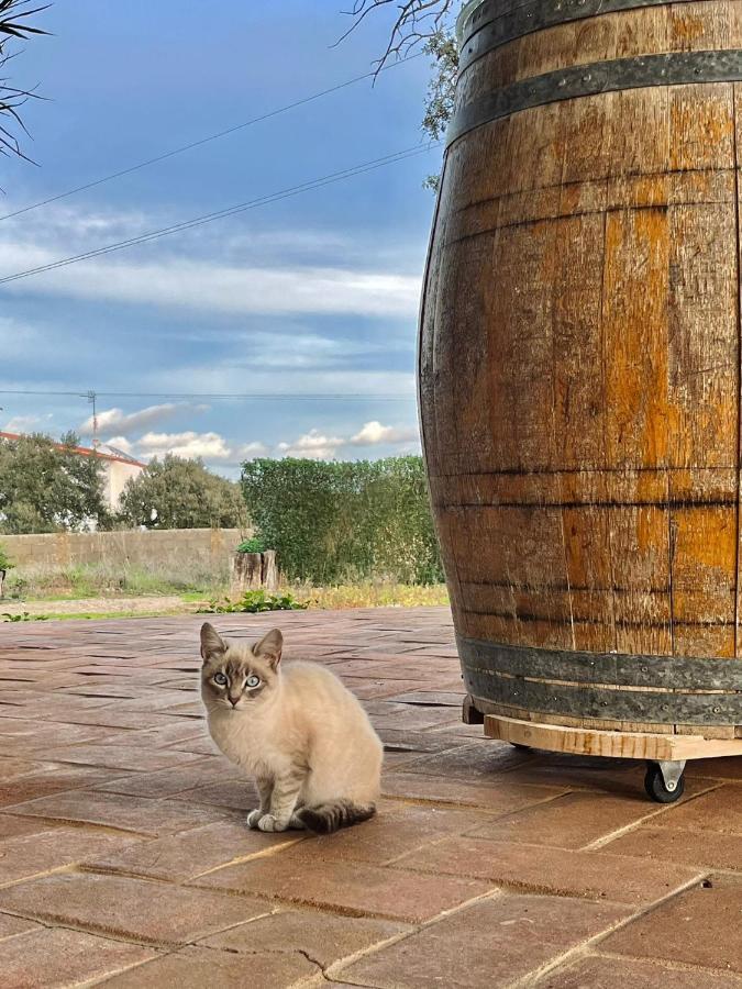 Villa Aproveite O Sabor Do Alentejo Vila Verde de Ficalho Esterno foto